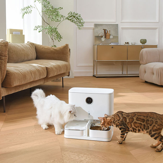Alimentatore dell'animale domestico 6L ed erogatore d'alimentazione automatici dell'acqua esposizione LCD per i gatti/cani 0